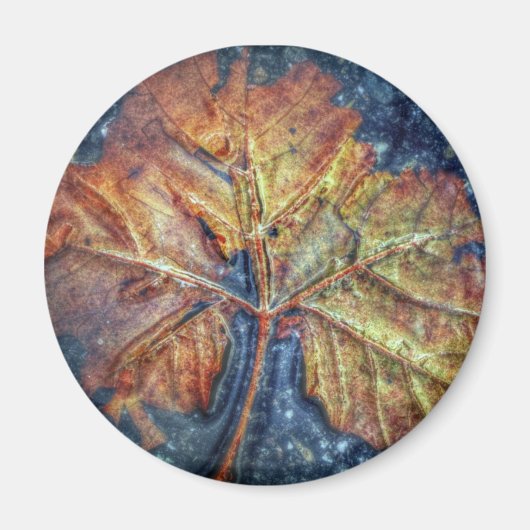 Autumn Leaf Magnet (Vorne)