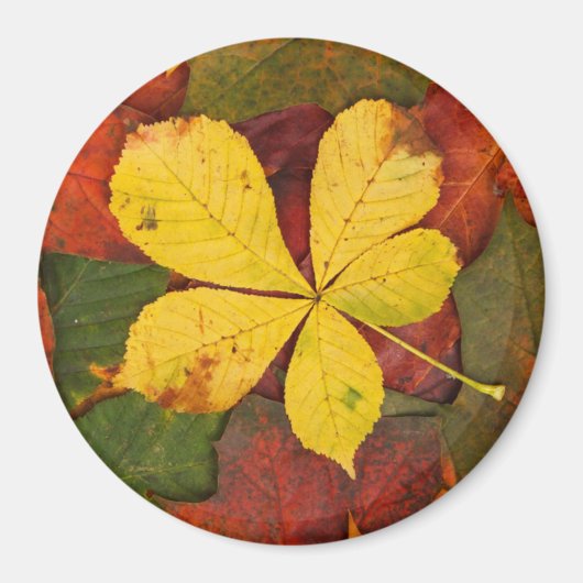 Autumn Leaf Magnet (Vorne)