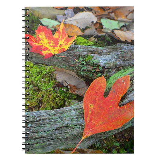 Autumn Leaf Notebook Notizblock (Vorderseite)