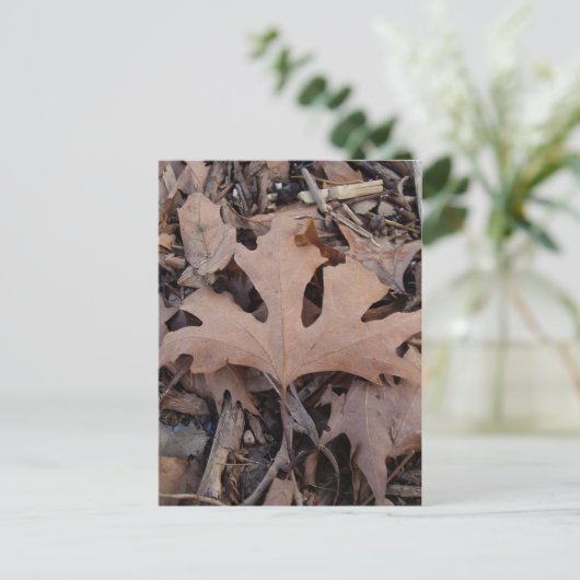 Autumn Leaf Postcard Postkarte (Stehend Vorderseite)