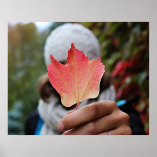 Autumn Leaf poster