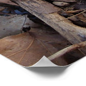 Autumn Leaf Poster Print (Ecke)