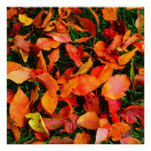Autumn Leaf Texture Perfect Poster (Vorderseite)