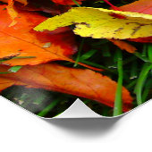 Autumn Leaf Texture Perfect Poster (Ecke)