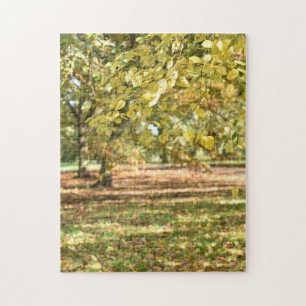 Autumn Leaves and Trees Regent's Park London UK Puzzle