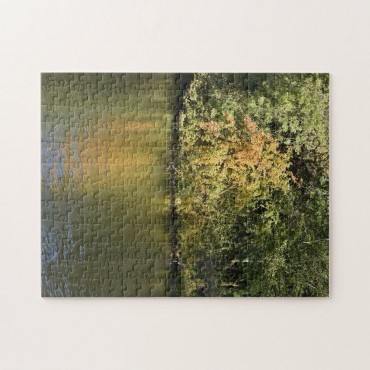 Autumn Leaves and Trees Regent's Park London UK Puzzle (Horizontal)