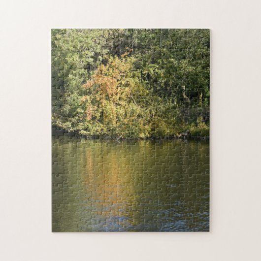 Autumn Leaves and Trees Regent's Park London UK Puzzle (Vertikal)