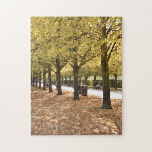 Autumn Leaves and Trees Regent's Park London UK Puzzle