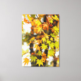 Autumn Leaves [Canvas Print] Leinwanddruck