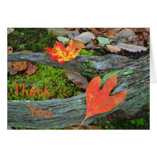 Autumn Leaves Dankeschön Card