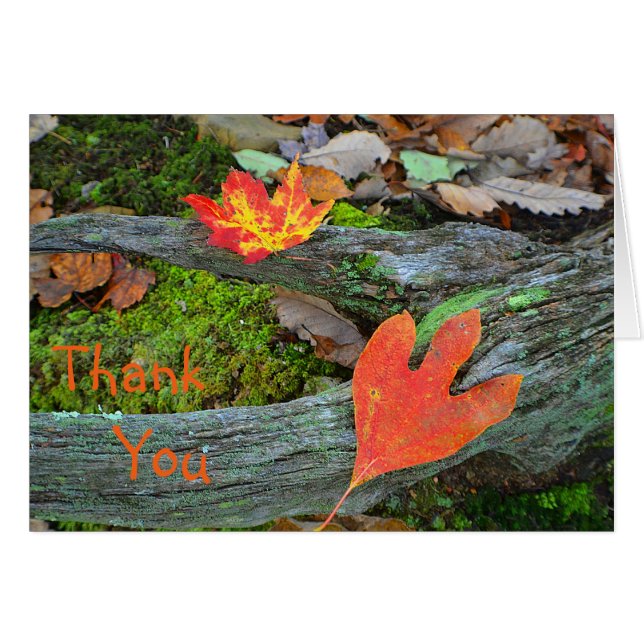 Autumn Leaves Dankeschön Card (Vorderseite (Horizontal))