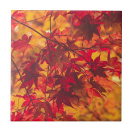 Autumn Leaves Fall Color Red Ceramic Tile Fliese