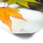Autumn Leaves [Glossy Poster] Poster (Ecke)