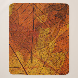 autumn leaves in the detailautumn,background,beaut sherpadecke