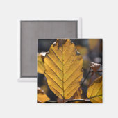 Autumn Leaves Magnet (Vorderseite/Rückseite)