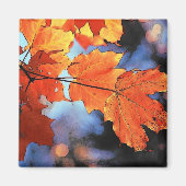 Autumn Leaves Magnet (Vorne)