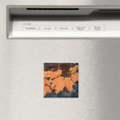 Autumn Leaves Magnet (In Situ (Geschirrspüler))