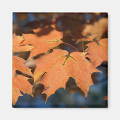 Autumn Leaves Magnet (Vorne)