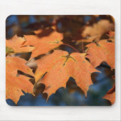 Autumn Leaves Mousepad (Vorne)
