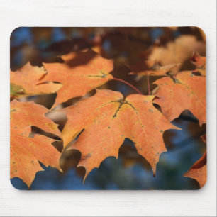 Autumn Leaves Mousepad