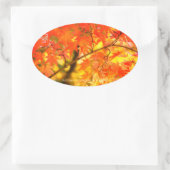 Autumn Leaves [Oval Seal] Ovaler Aufkleber (Tasche)