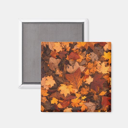 Autumn Leaves Photo Magnet (Vorderseite/Rückseite)
