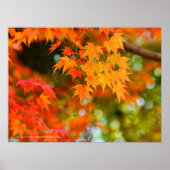 Autumn Leaves [Poster] Poster (Vorne)
