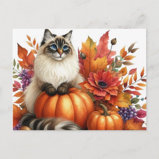 Autumn Leaves Pumpkins und Ragdoll Cat Postcard Postkarte (Vorderseite)