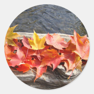 Autumn Leaves River Driftwood Aufkleber Fall Bäume