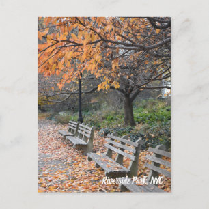 Autumn Leaves Riverside Park New York City Foto Postkarte