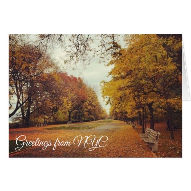 Autumn Leaves Riverside Park New York City NYC (Vorderseite (Horizontal))