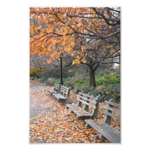Autumn Leaves Riverside Park New York City NYC Fotodruck