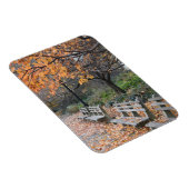 Autumn Leaves Riverside Park New York City NYC Magnet (Rechte Seite)