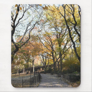 Autumn Leaves Riverside Park New York City NYC Mousepad