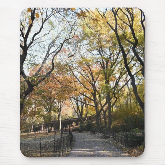 Autumn Leaves Riverside Park New York City NYC Mousepad (Vorne)