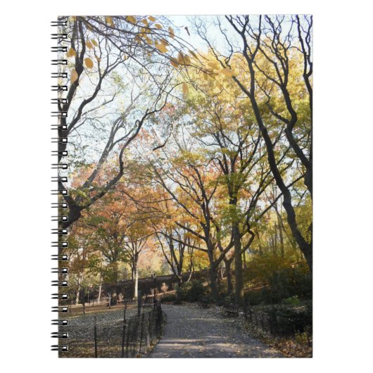 Autumn Leaves Riverside Park New York City NYC Notizblock (Vorderseite)