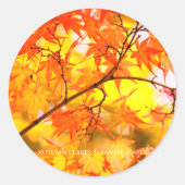 Autumn Leaves [Round Seal] Runder Aufkleber (Vorderseite)