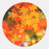 Autumn Leaves [Round Seal] Runder Aufkleber (Vorderseite)