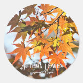 Autumn Leaves Runder Aufkleber (Vorderseite)