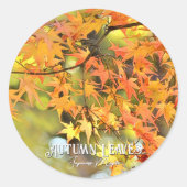 Autumn Leaves Runder Aufkleber (Vorderseite)