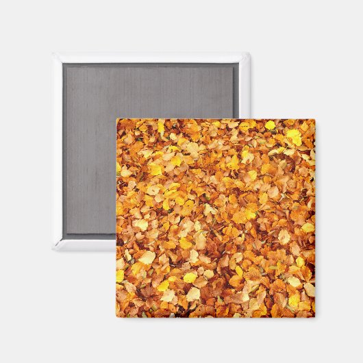 Autumn Leaves Square Magnet (Vorderseite/Rückseite)