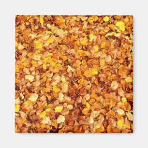 Autumn Leaves Square Magnet
