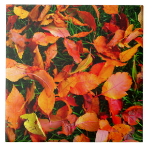 Autumn Leaves Tile Fliese