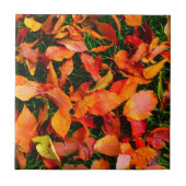 Autumn Leaves Tile Fliese (Vorderseite)