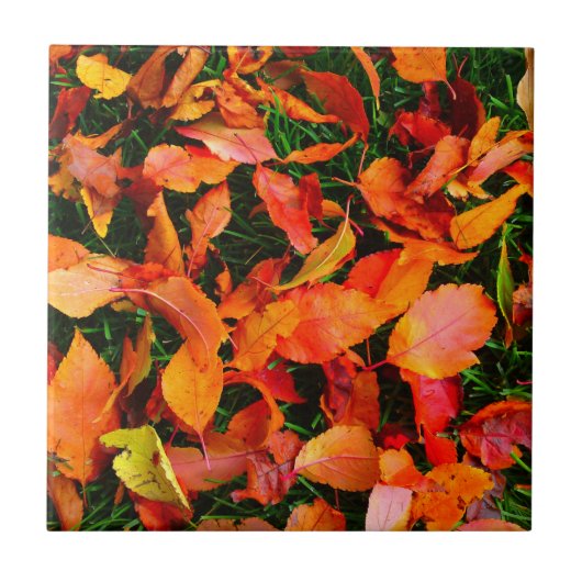 Autumn Leaves Tile Fliese (Vorderseite)