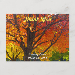 Autumn Leaves Wedding Danke Postcard Postkarte
