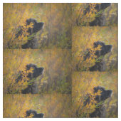 Autumn Leonberger Stoff (Nahaufnahme)