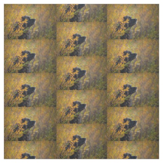 Autumn Leonberger Stoff (Muster)