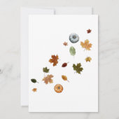 Autumn Little Pumpkin Baby Shooter per Mail Einladung (Rückseite)