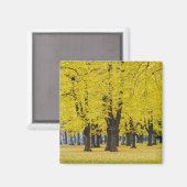 Autumn Magnet (Vorderseite/Rückseite)